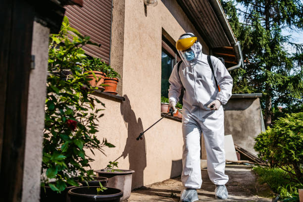 Best Affordable Pest Control Services  in Tamarac, FL