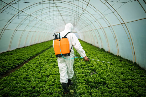 Insect Control in Tamarac, FL