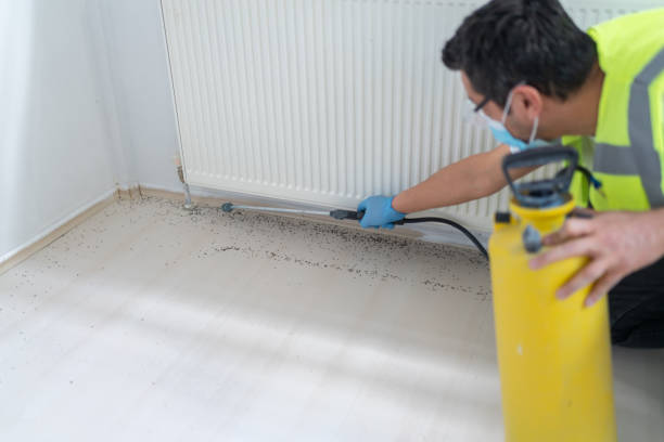 Best Affordable Pest Control Services  in Tamarac, FL